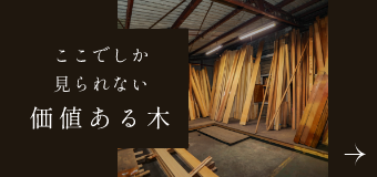 ここでしか見られない価値ある木