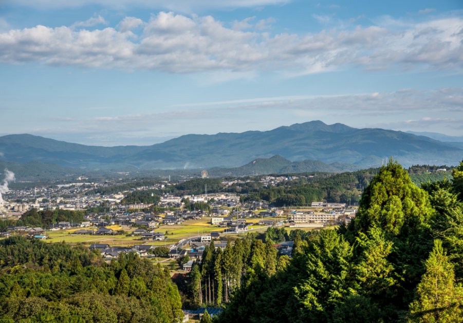 地域の土地を一番知っています