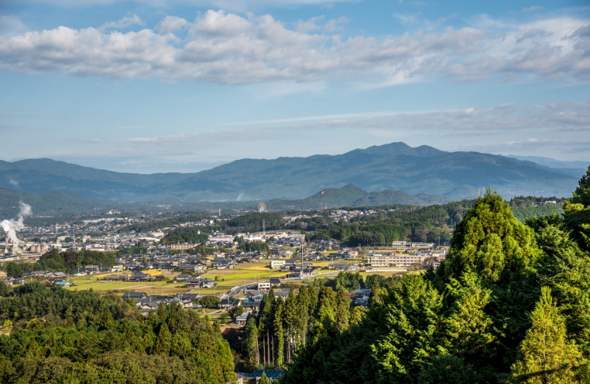 地域の土地を一番知っています