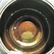 必見！家事で使えるプチっと知識Part1 アイキャッチ画像