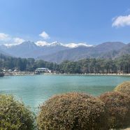 ヒノキと無垢材がつくる、空気の気持ちいい家づくり アイキャッチ画像