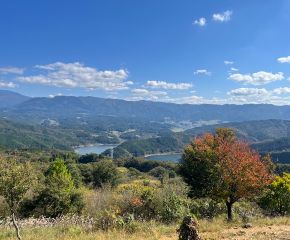 住みたい田舎ランキング１位に！ アイキャッチ画像