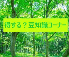 どうでもいい豆知識⭐ アイキャッチ画像