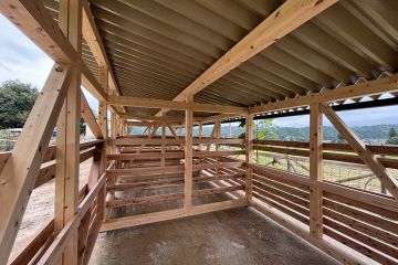 2026-09/img-6355