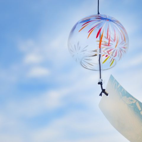 【夏本番！】電気代を抑えて賢く涼しく暮らす5つのポイント💡 アイキャッチ画像